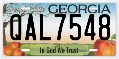 GA license plate QAL7548