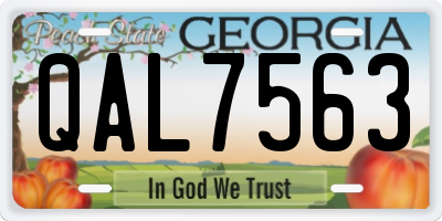 GA license plate QAL7563