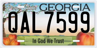 GA license plate QAL7599