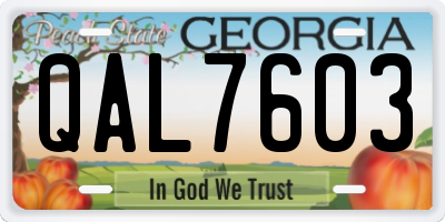 GA license plate QAL7603