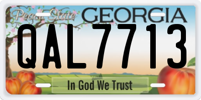 GA license plate QAL7713