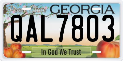 GA license plate QAL7803