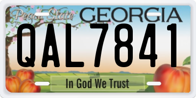 GA license plate QAL7841