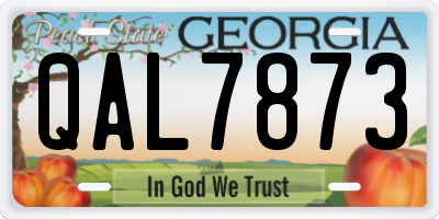 GA license plate QAL7873