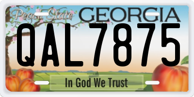 GA license plate QAL7875