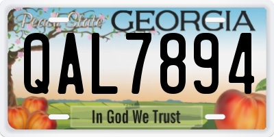 GA license plate QAL7894