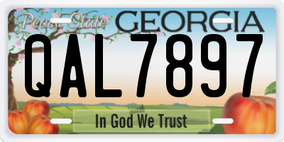 GA license plate QAL7897