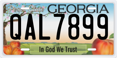 GA license plate QAL7899