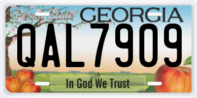 GA license plate QAL7909