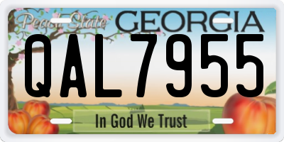 GA license plate QAL7955