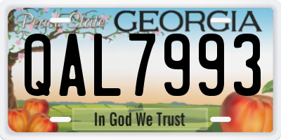 GA license plate QAL7993