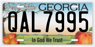 GA license plate QAL7995