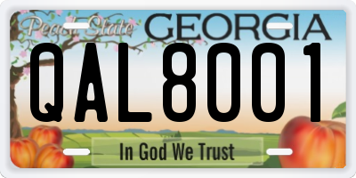 GA license plate QAL8001