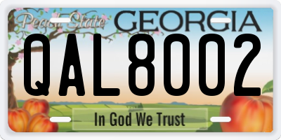 GA license plate QAL8002