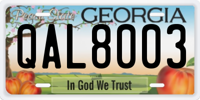 GA license plate QAL8003