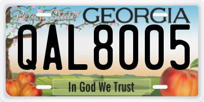 GA license plate QAL8005