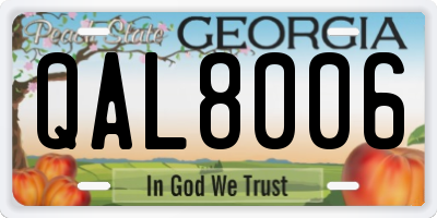 GA license plate QAL8006