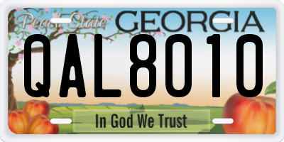 GA license plate QAL8010