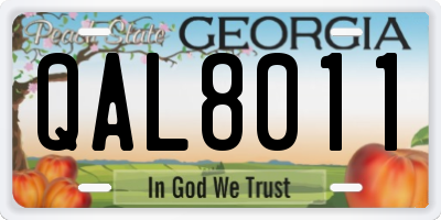 GA license plate QAL8011