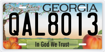 GA license plate QAL8013