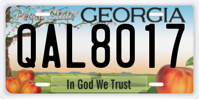 GA license plate QAL8017