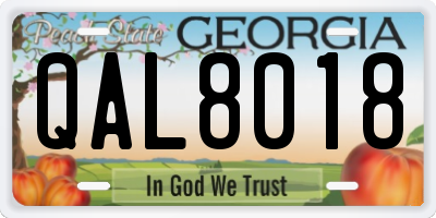 GA license plate QAL8018