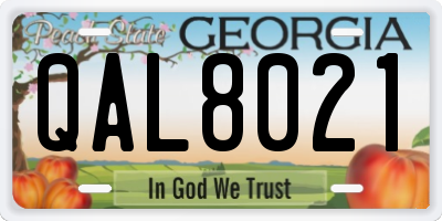 GA license plate QAL8021