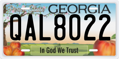 GA license plate QAL8022