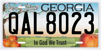 GA license plate QAL8023