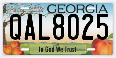 GA license plate QAL8025