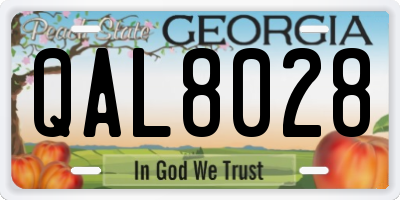 GA license plate QAL8028