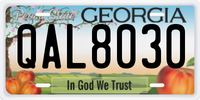 GA license plate QAL8030