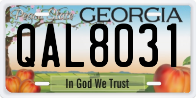 GA license plate QAL8031