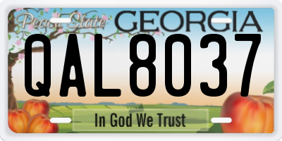 GA license plate QAL8037