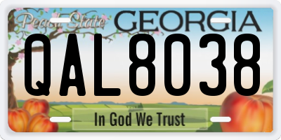 GA license plate QAL8038