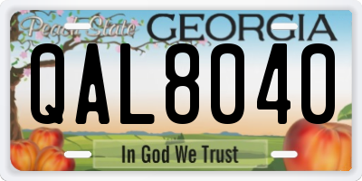 GA license plate QAL8040