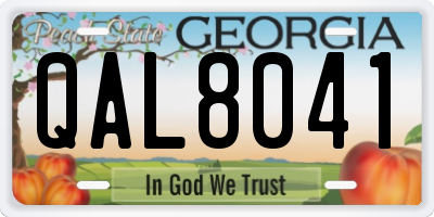 GA license plate QAL8041