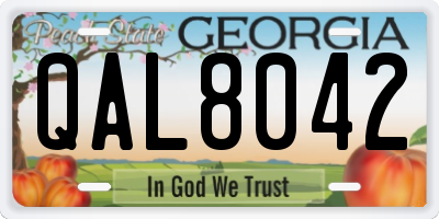 GA license plate QAL8042