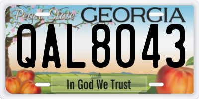GA license plate QAL8043