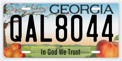 GA license plate QAL8044