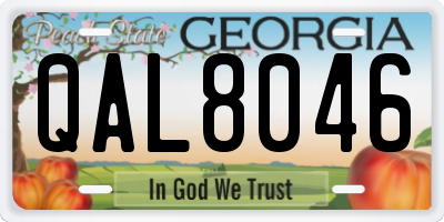 GA license plate QAL8046