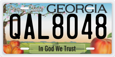 GA license plate QAL8048