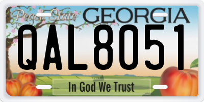 GA license plate QAL8051