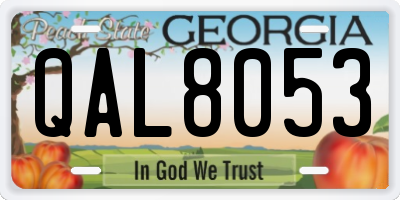 GA license plate QAL8053