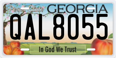 GA license plate QAL8055