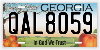 GA license plate QAL8059