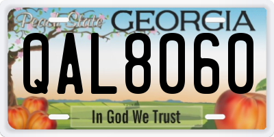 GA license plate QAL8060