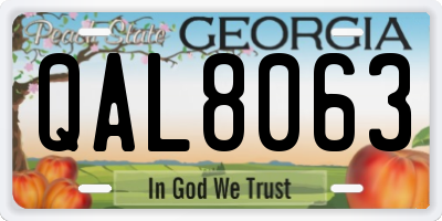 GA license plate QAL8063