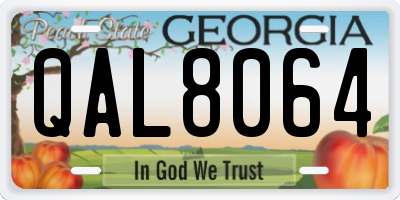 GA license plate QAL8064