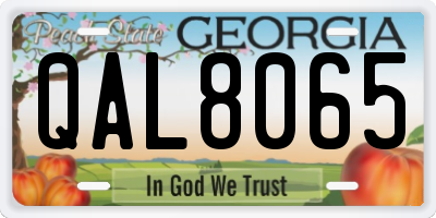 GA license plate QAL8065